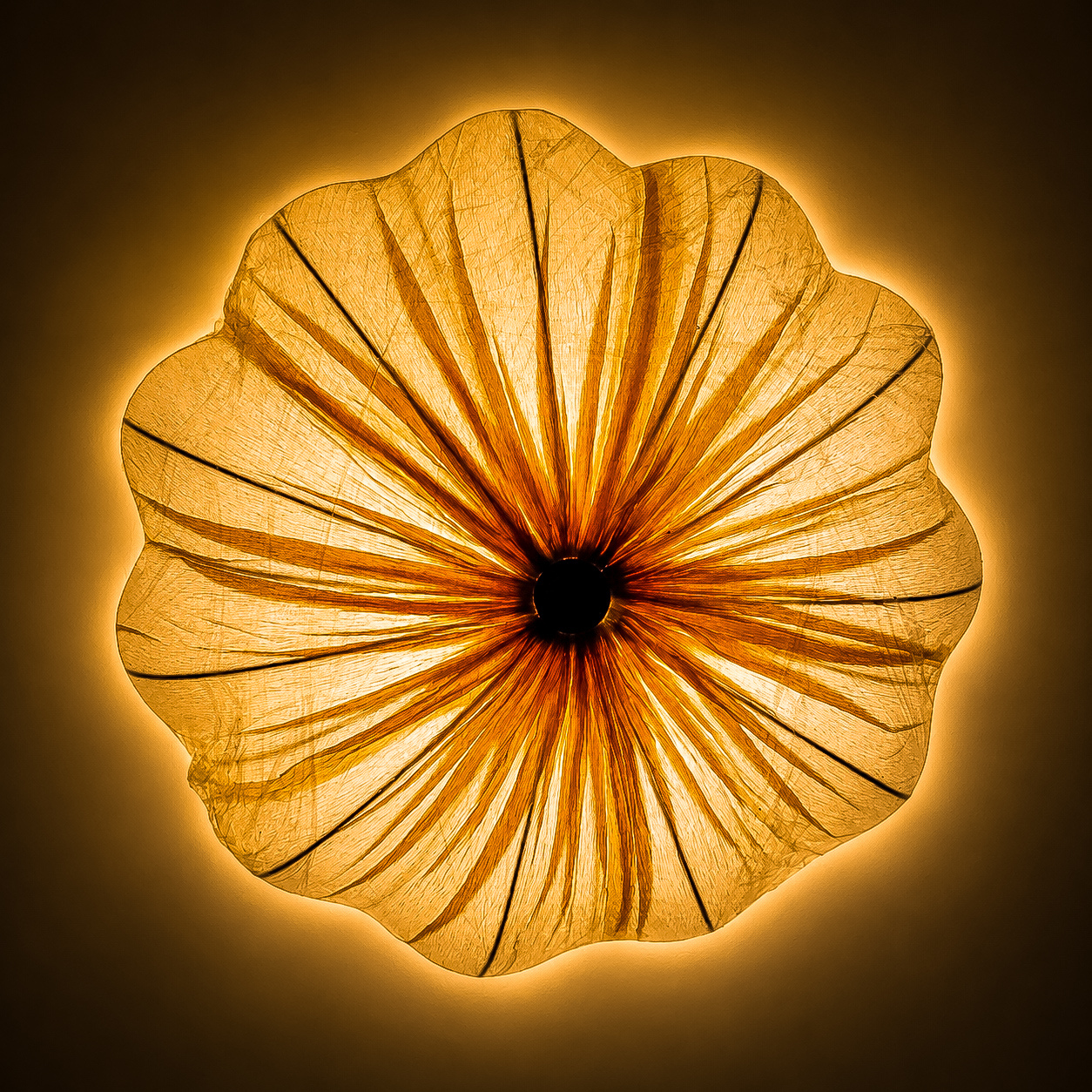 Blossom Wall Light - 15"