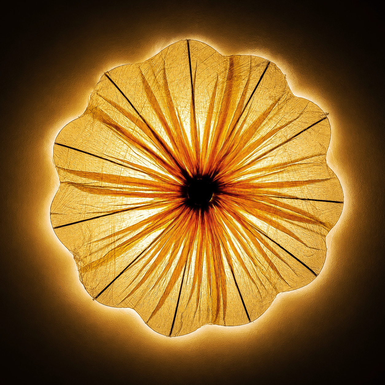 Blossom Wall Light - 15"