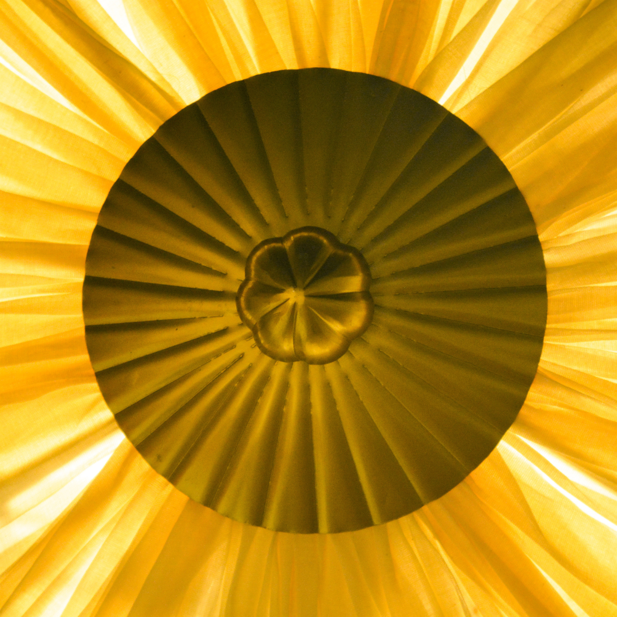 Lumi Dahlia Chandelier