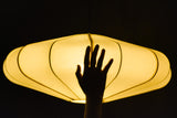 Lumi Lamp - Disc Shaped
