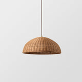 Dome Haven Rattan Pendant Lamp with frosted Globe Light